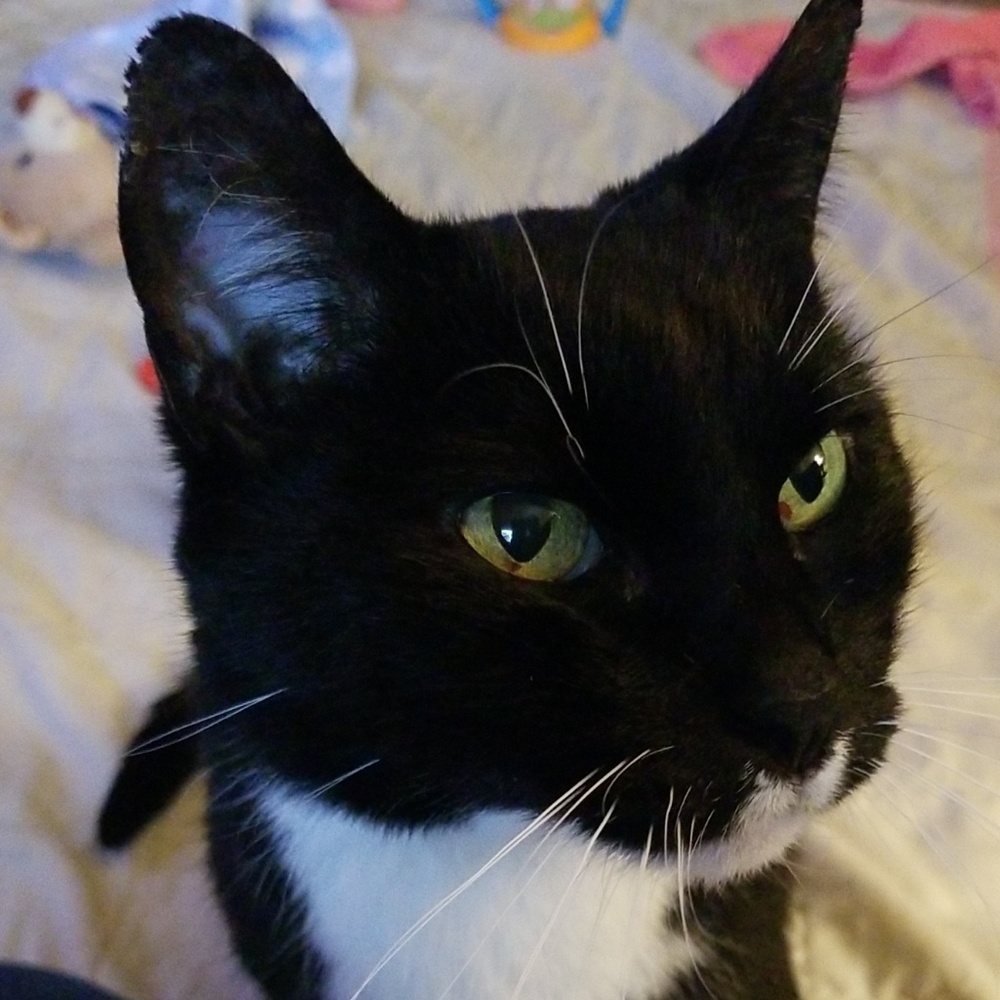 Meet your Posher, Jasmin